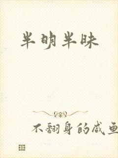 半明半昧