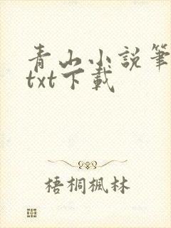 青山小说笔趣阁txt下载