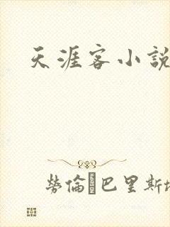 天涯客小说