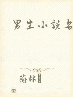 男生小说名字