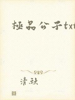 极品公子txt