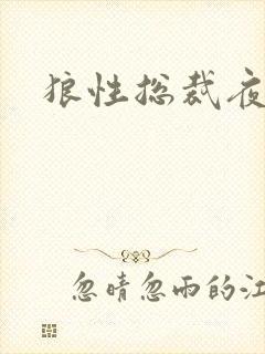 狼性总裁夜欢宠