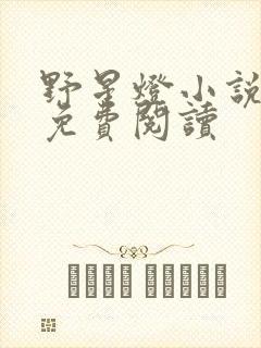 野星灯小说全文免费阅读