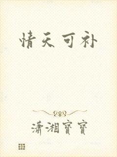 情天可补