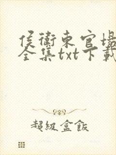 侯卫东官场笔记全集txt下载