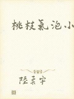 桃枝气泡小说封面