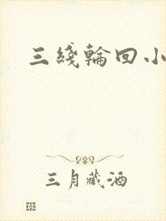 三线轮回小说