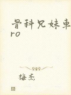 骨科兄妹车多pro