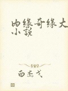 内缘奇缘大团圆小说