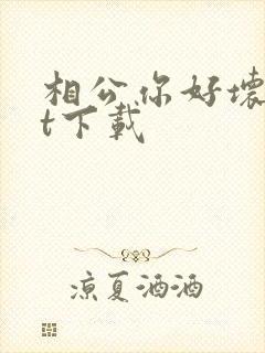 相公你好坏txt下载