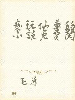 亵玩仙尊的道侣小说免费阅读