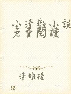 小清欢小说全文免费阅读