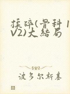 揉碎(骨科 1V2)大结局