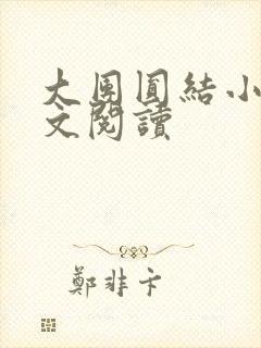 大团圆结小茹全文阅读