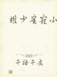 权少蜜宠小娇妻