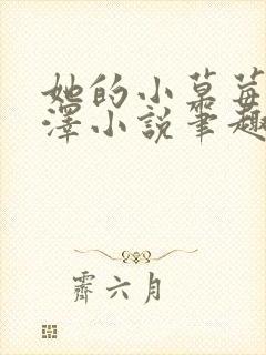 她的小草莓魏承泽小说笔趣阁