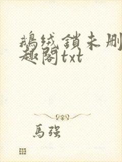 鹅绒锁未删除笔趣阁txt