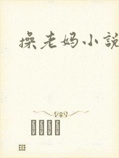 操老妈小说