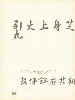 引火上身芝麻糖丸