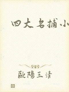 四大名捕小说