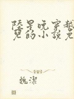 陆星晚穿越成婴儿的小说免费阅读全文