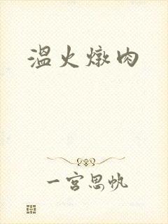 温火炖肉