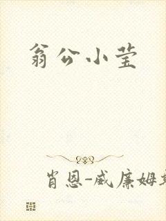 翁公小莹