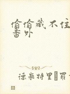 偷偷藏不住新婚番外