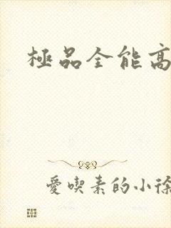 极品全能高手