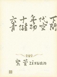 六十年代下乡知青储物空间