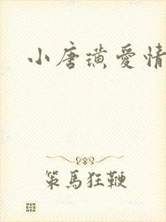 小唐璜爱情历史