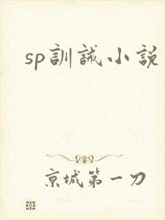 sp训诫小说