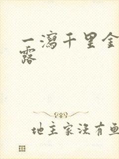 《一泻千里金银花露》小说封面