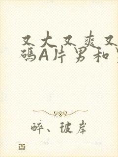 又大又爽又黄无码A片男和男