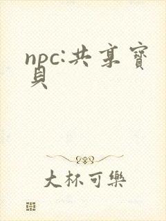 npc:共享宝贝