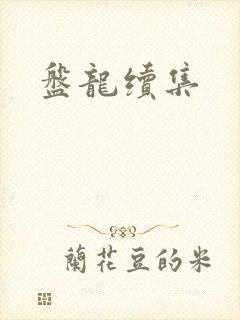 盘龙续集