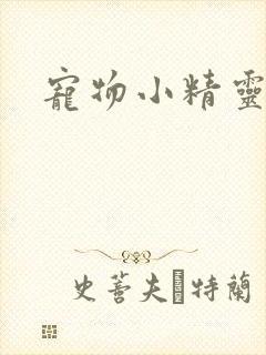 宠物小精灵漫画