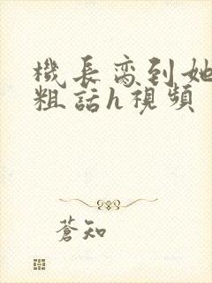 机长脔到她哭h粗话h视频