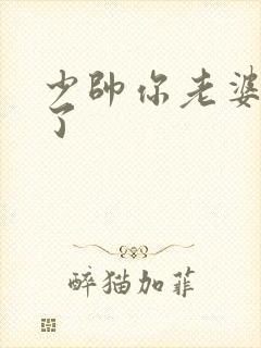 少帅你老婆又跑了