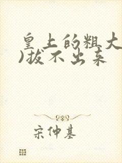 皇上的粗大(h)拔不出来