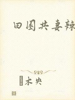 田园共妻辣