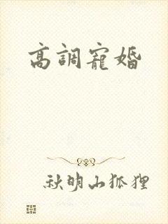 高调宠婚