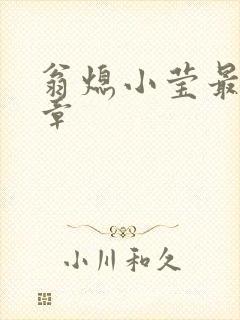 翁熄小莹最新节章