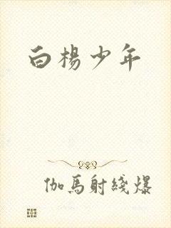 白杨少年