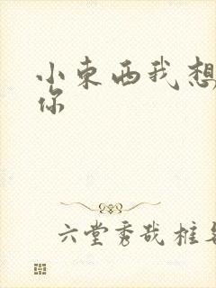 小东西我想弄坏你