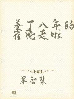 养了八年的金丝雀飞走啦