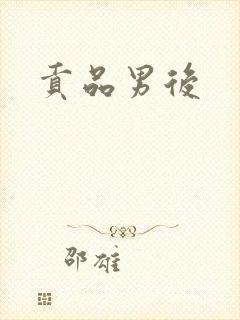 《贡品男后》小说封面