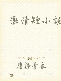 激情短小说