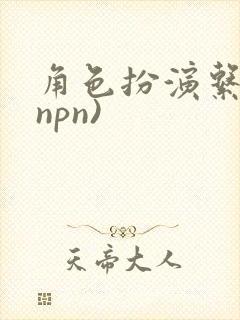 角色扮演系统(npn)