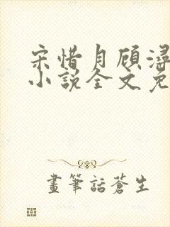 宋惜月顾浔渊的小说全文免费阅读